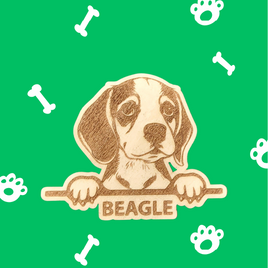 Beagle Puppy Magnet - Peeking Dog w/Breed