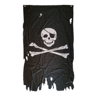 Jolly Roger Pirate 3X5 Flag Banner Vertical Distressed